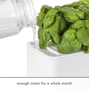 Kit de jardin d'herbes d'intérieur à arrosage automatique Grey Click & Grow Smart Garden 3 pour la cuisine - Product Image 6