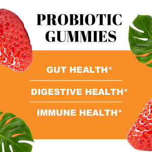 Gummies probiotiques Wins Town OEM <span class=keywords><strong>pour</strong></span> soutenir une digestion saine et réguler la <span class=keywords><strong>flore</strong></span> <span class=keywords><strong>intestinale</strong></span>, favoriser la fonction digestive - Product Image 2