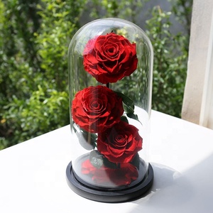 Rosas Cristalinas Transparentes Preservadas, Rosas Eternas Reales, Infinitas, Rosas Eternas Preservadas en Cúpula de Cristal - Product Image 6