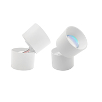 Projecteur de mur rond coucher de soleil lumière Led miroir lumière Surface plafonnier ailé réglable Cob Downlight 7W 2700K joli design