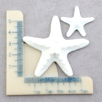 Ornement d'été Kawaii en forme d'étoile de mer, breloques 3D de plage, décoration étoile de mer, accessoires pour coque de téléphone, pièces artisanales pour miroir