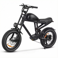 Sepeda Listrik Xili Sports 48v 750w 19.2ah Gaya Vintage Chopper Ebike Urban Retro