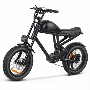Xili Sports 48v 750w 19.2ah Vintage Style <strong>Chopper</strong> Ebike Urban Retro Electric Bike - Product Image 3