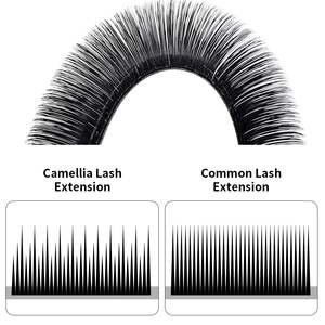 Extensions <span class=keywords><strong>de</strong></span> cils Camellia, longueur mixte 8-15 mm, noir doux, cils individuels pour salon <span class=keywords><strong>de</strong></span> maquillage, vente <span class=keywords><strong>en</strong></span> gros - Product Image 6