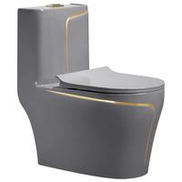 Ensemble Sanitaire Céramique Gris à Poser au Sol pour Salle de Bain, WC Monobloc et Lavabo Suspendu