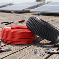 EN50618 Solar-PV-Kabel 2,5mm 4mm 6mm 10mm 16mm TÜV/CE-Zertifiziert Verzinntes Kupfer XLPEO UV-Beständig für Kommerzielle Solaranlagen