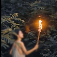 Torche de jardin familiale avec poignée en bois lampe de poche en cire en tissu faveurs de fête en plein air pendant 50 minutes pour Noël ou l'obtention du diplôme