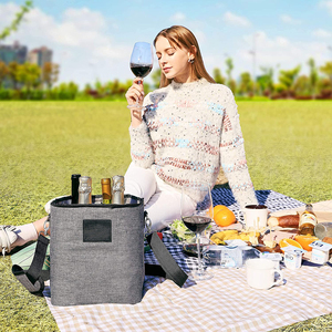 Термостойкая переносная сумка для пикника, 4 бутылки - Product Image 2