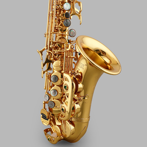 Alex Bb Sopraansaxofoon ACS-200 Kleine Bocht Met Goudlak Messing
