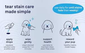 Petpost <span class=keywords><strong>Olio</strong></span> <span class=keywords><strong>di</strong></span> <span class=keywords><strong>Cocco</strong></span> e Aloe <span class=keywords><strong>per</strong></span> la Rimozione delle Macchie <span class=keywords><strong>di</strong></span> Lacrime nei <span class=keywords><strong>Cani</strong></span> |   Detergente delicato <span class=keywords><strong>per</strong></span> gli occhi dei <span class=keywords><strong>cani</strong></span> da 8 once |   Sicuro <span class=keywords><strong>per</strong></span> Razze con Pelliccia Bianca e Rivestimento Leggero | - Product Image 6