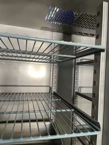 <span class=keywords><strong>Cucina</strong></span> a porta singola in acciaio inossidabile per porte in vetro congelato a base di carne frigorifero - Product Image 5