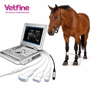 Escáner <span class=keywords><strong>de</strong></span> Ultrasonido Veterinario Blanco y Negro, Portátil, Tipo Laptop, para Animales Pequeños, Perros y Gatos, <span class=keywords><strong>Precio</strong></span> Directo <span class=keywords><strong>de</strong></span> Fábrica - Product Image 1