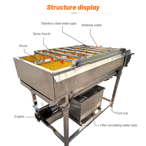 Machine à laver les fruits, les melons, les légumes, multifonctionnelle, à haute pression, électrique, 220V/380V, garantie 1 an - Product Image 4