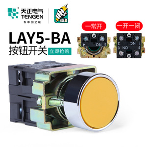 Interrupteur à bouton-poussoir Tengen LAY5 22 mm à réinitialisation automatique, démarrage/arrêt, tête plate, IP40 - Product Image 4