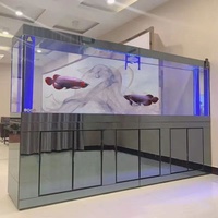 Aquarium en Verre pour Arowana 500L, sur Mesure, Vente en Gros, Haute Qualité, Blanc avec Meuble Bas