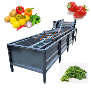 Automatic Fresh celery leaf vegetable air bubble washing machine fruit and vegetable wash clean machine
