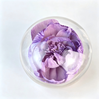 Fleurs séchées personnalisées en pivoine violette pour la fête des mères, herbe de pith écologique, décoration d'intérieur longue durée, fleurs en bois Sola