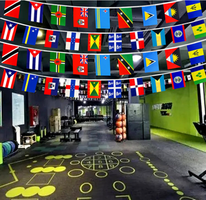 <strong>String</strong> <strong>Flag</strong> Set of 20 Caribbean Country <strong>Flags</strong> Multicolor - Product Image 3