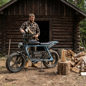 จักรยานเสือภูเขาไฟฟ้า 7 สปีด พร้อมหน้าจอ LCD สำหรับการขี่กลางแจ้งและล่าสมบัติ - Product Image 1