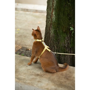 Harnais de marche réfléchissant en nylon pour chat, anti-évasion et ajustable, pour l'exploration libre - Product Image 4