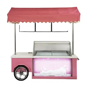 Mini camion de crème glacée portable, 10 pièces, glace, camion de restauration rapide, vitrine et congélateur d'exposition