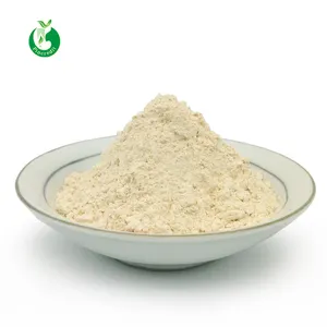 High Quality Raw Pea Protein Powder 25kg