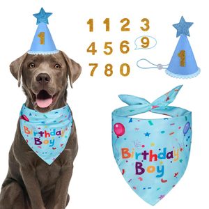 Set per Festa di Compleanno per Cani: Bandane Ecologiche Usa e Getta, Cappelli per Maschi e Femmine, Numeri, Bandiere e Palloncini per Animali Domestici - Product Image 1