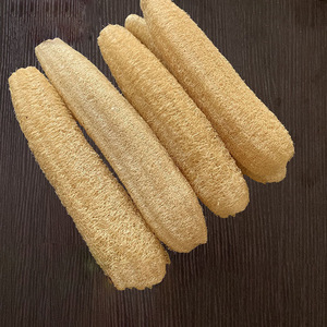 Éponge de loofah naturelle Zenidoo, écologique, 30-39 cm de long, pour le corps, la douche, anti-adhésive, bonne absorption, serviettes de cuisine, salle de bain, 80% - Product Image 2
