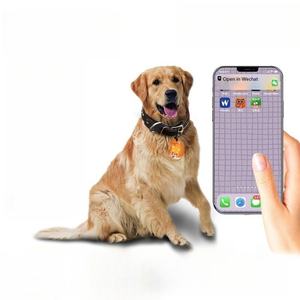 Smart Sensing Waterproof RFID Pet <b>Tag</b> for <b>Dogs</b> & Cats 125kHz Frequency Access Control Compatible Electronic ID Card - Product Image 1