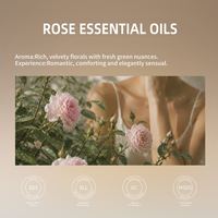100% Minyak Bunga Mawar Damask Alami Murni Ramah Kulit Melembapkan Menutrisi Aromaterapi Perawatan Kulit Grosir 50ml