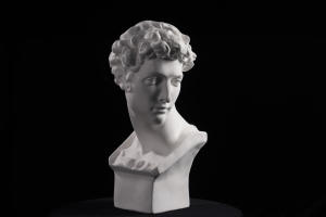 <span class=keywords><strong>Buste</strong></span> de David HUIXISHI en plâtre, sculpture modèle SG, gypse blanc de haute qualité, pour étudiants en art, dessin, peinture, examen, logo personnalisé - Product Image 2