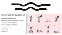 Kit de Pilates personnalisé avec logo d'usine, barre de musculation, haltères en silicone et fer, barre de musculation pour entraînement à domicile, yoga et Pilates, barre lestée