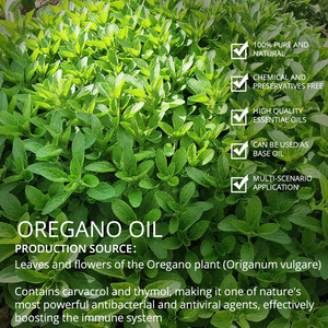 Aceite de orégano natural 100% puro, precio de fábrica, aceite de orégano de etiqueta privada a granel para eliminar el calor - Product Image 2