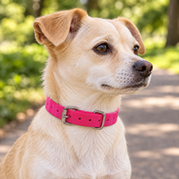 Collier de chien réglable de luxe en TPU, vente directe d'usine, avec boucle en métal et anneau en D, étanche, pour l'entraînement des chiens de taille moyenne à grande