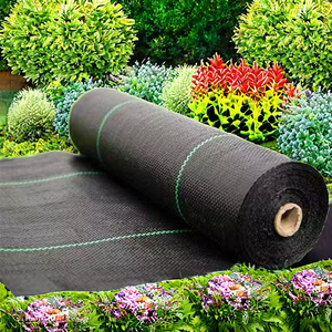 Toile <span class=keywords><strong>géotextile</strong></span> anti-mauvaises herbes en plastique <span class=keywords><strong>pour</strong></span> pelouse, en lots de pièces coupées, <span class=keywords><strong>pour</strong></span> fraises et usage agricole, Hebei - Product Image 2