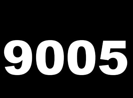 9005