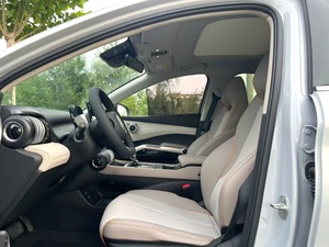 SUV compact électrique automatique d'occasion, édition Champion <span class=keywords><strong>2023</strong></span>, autonomie <span class=keywords><strong>de</strong></span> 430 km, peinture d'origine, <span class=keywords><strong>en</strong></span> stock à Yantai - Product Image 5