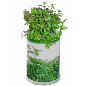 Lata con Semillas, Gadgets Ecológicos Personalizados - Product Image 3