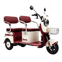 Vélo Électrique Urbain MAX 60V 1000W avec Moteur Brushless, Cadre en Acier Carbone, Frein à Disque, Roues 14'', Batterie Plomb-Acide, Vitesse Unique pour Adultes