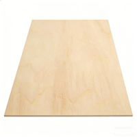 Tablero de Madera Contrachapada de Tilo Blanco de 3 mm, Económico, Moderno, para Grabado Láser, con Formaldehído E0 y 1 Año de Garantía para Hoteles