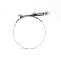 Factory Direct T-Bolt Hose Clamps Heavy Duty All Steel Construction for Secure Pipe Sealing in Automotive Systems