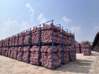 Ail frais en vrac de Chine, prix de gros, ail blanc pur et normal pour l'exportation