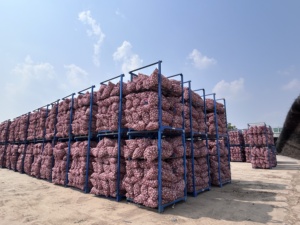 Nhà cung cấp Trung Quốc giá bán buôn tỏi tươi số lượng lớn màu trắng tinh khiết bình thường tỏi trắng cho xuất khẩu - Product Image 3