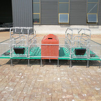 Nouvelles cages de mise bas pour truies en acier galvanisé, équipement agricole, système de plancher 500 mm, enclos de mise bas, grille pour truies 380 kg, 2 truies +30