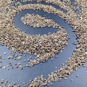 <span class=keywords><strong>Di</strong></span> Fu <span class=keywords><strong>Zi</strong></span> Graines de Kochia Scoparia Séchées Naturelles Pures pour Herbes Aromatiques - Product Image 4