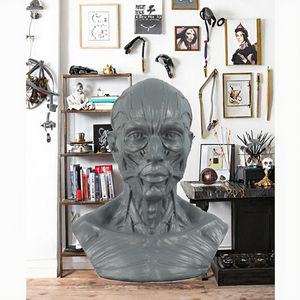 Escultura de Resina de Arte Popular, Busto y Cabeza Humana, Modelo Musculoesquelético para Decoración de Mesa de Halloween - Product Image 3