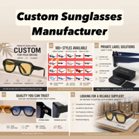 Lunettes de soleil Lmamba 2410 de haute qualité, design luxueux, CR39, logo personnalisé, lunettes de soleil ovales surdimensionnées en acétate pour hommes et femmes