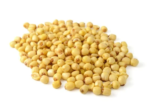 Graines de COIX vietnamiennes sous forme de poudre séchée Produit alimentaire agricole au meilleur prix - Product Image 2