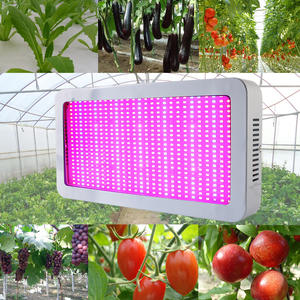 Lampe de culture pour plantes Cob IP65 Spectre complet Durée de vie de 50 000 heures pour les plantes carnivores Fleurs Légumes Semis Culture de tissus - Product Image 3