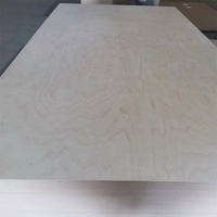 Fabricant de contreplaqué Shandong Linyi marine/meubles en contreplaqué imperméable/contreplaqué de bouleau 3mm/18mm